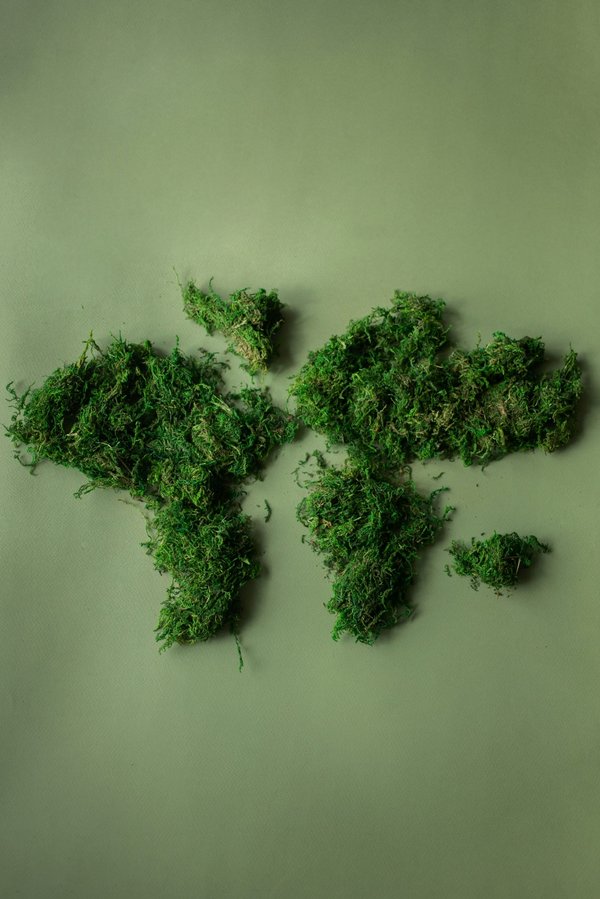 Quelle est la plus grande firme de cybersécurité au monde ?